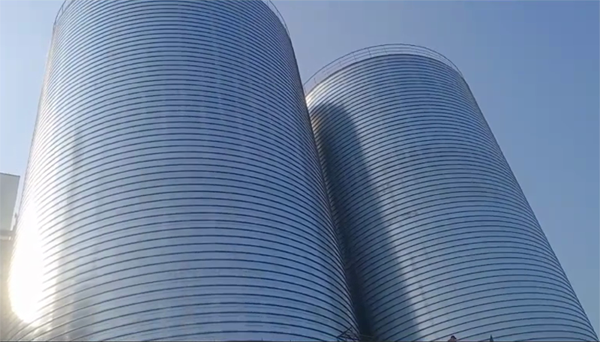 莱西2座混凝土高架卷板仓